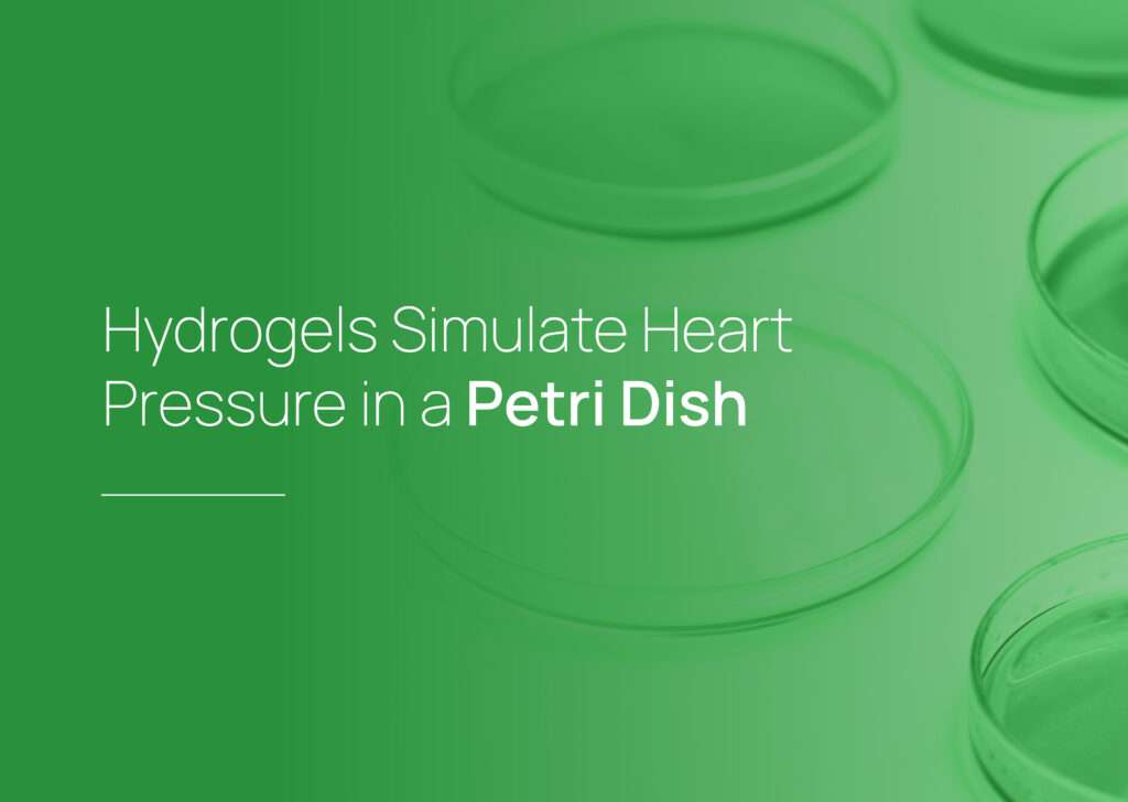 Hydrogels Simulate Heart Pressure in a Petri Dish