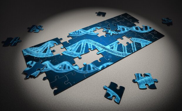 Personalized Medicine: A Rewarding Career at the Cutting Edge of Healthcare