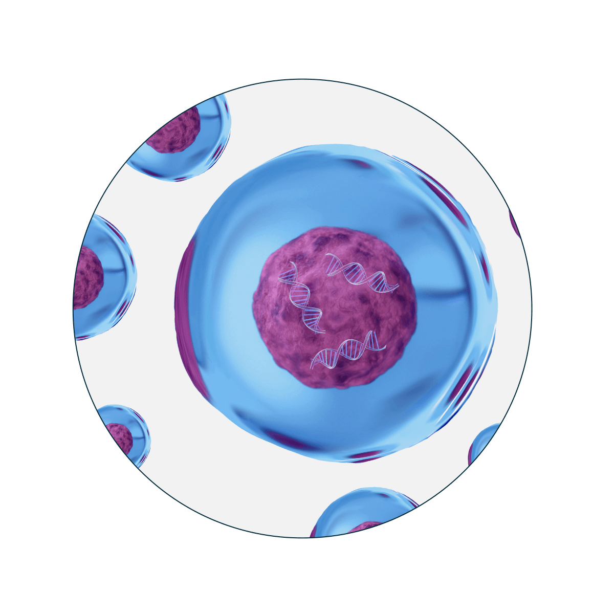20230725 Factorial Single Cell Sequencing Case Study