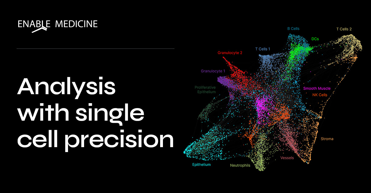 Analysis with single cell precision