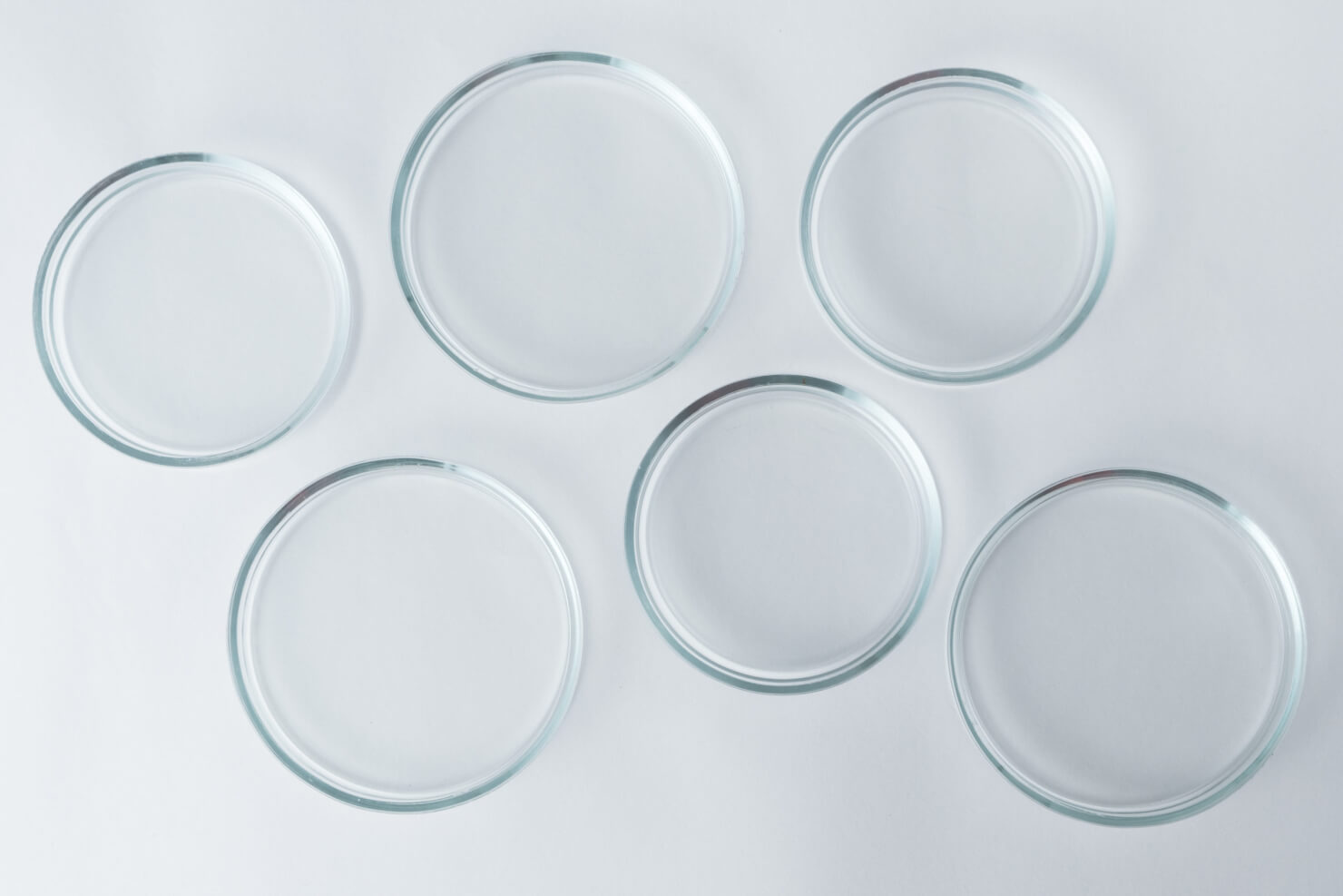 Empty glass petri dishes on a white table