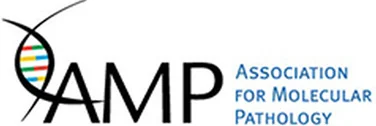 logo-amp