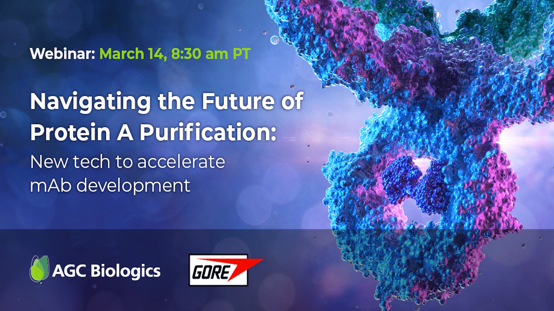 Navigating the Future of Protein A Purification: New Tech to Accelerate mAb Development