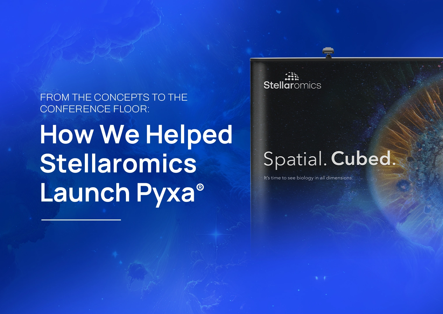 How Samba Scientific Helped Stellaromics Launch Pyxa