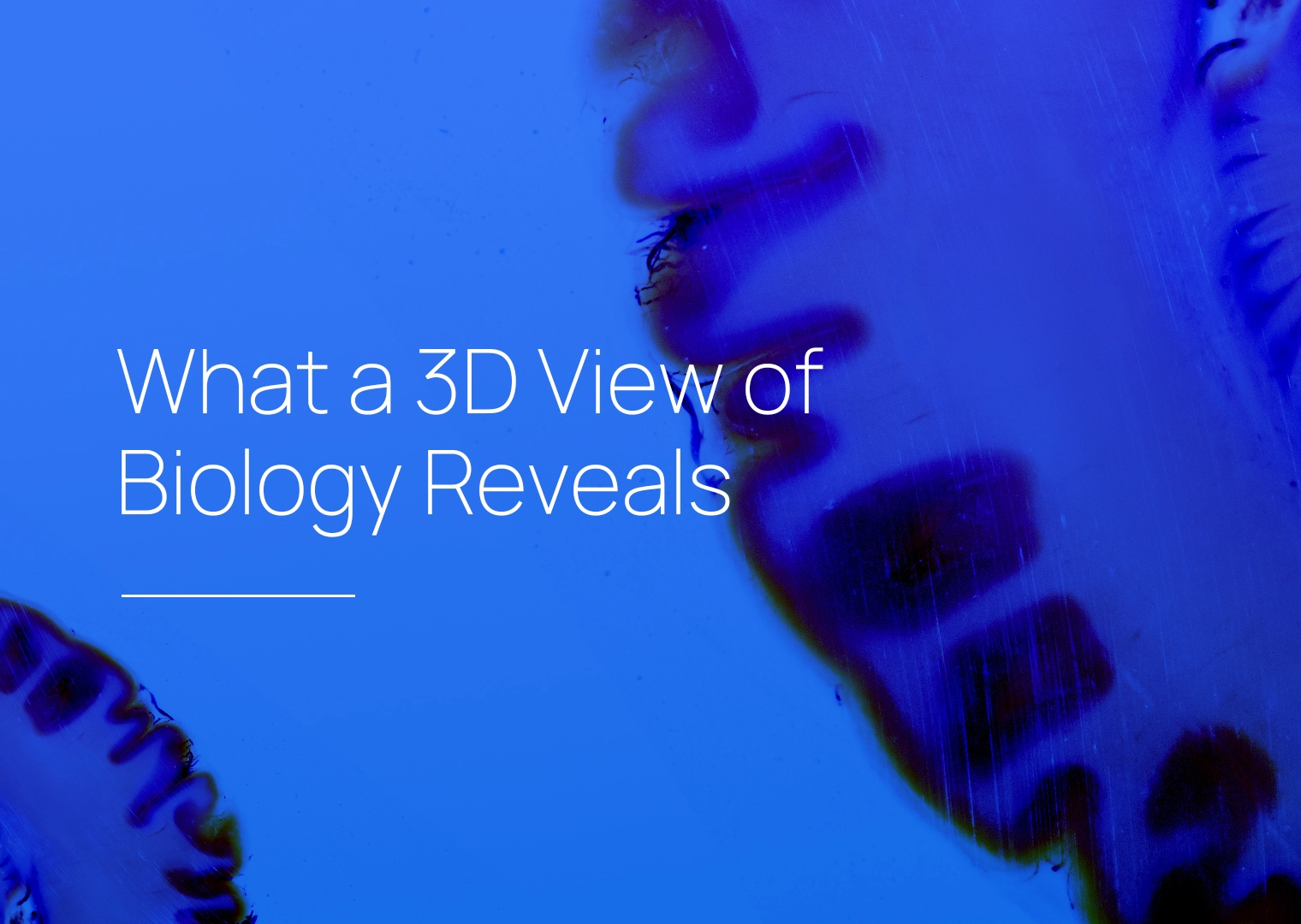 What a 3D View of Biology Reveals